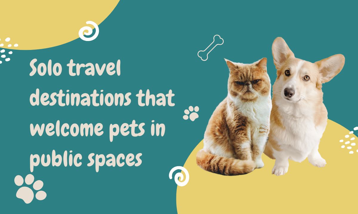 solo-travel-destinations-that-welcome-pets-in-public-spaces-solo-travel