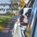 managing-pet-anxiety-on-solo-travel-trips