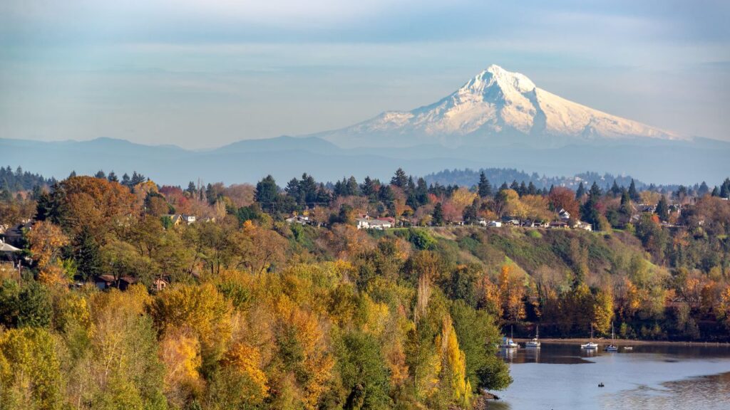top-7-pet-friendly-travel-destinations-for-solo-travelers-full-guide