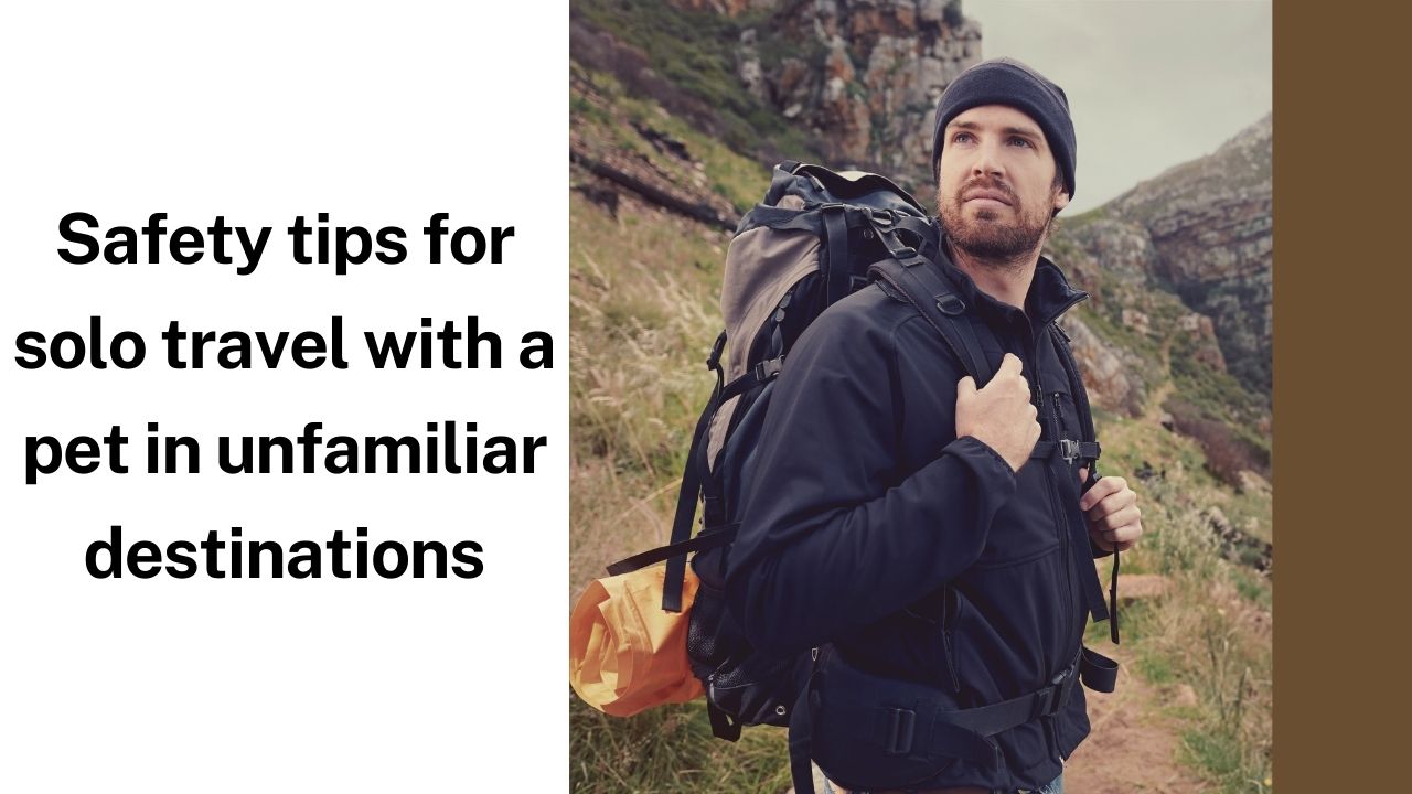 safety-tips-for-solo-travel-with-a-pet-in-unfamiliar-destinations